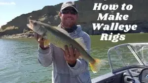 Walleye Rigs