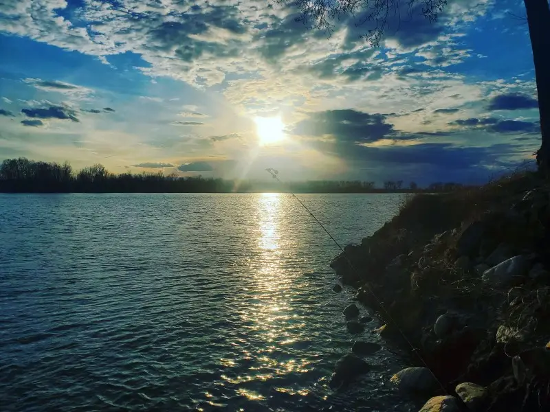 Walleye Shore Fishing Rigs