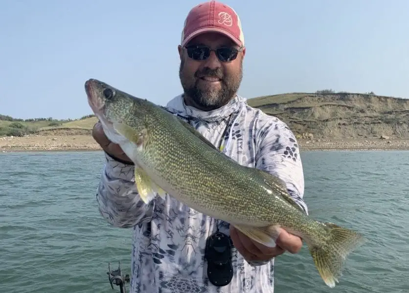 Fish Cleaning Station Ethics