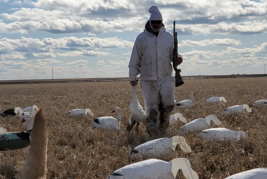 Camo for hunting geese
