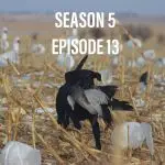 snow goose hunting podcast