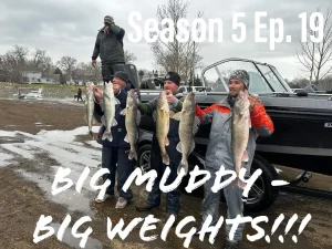 Big Muddy Walleye Tournament