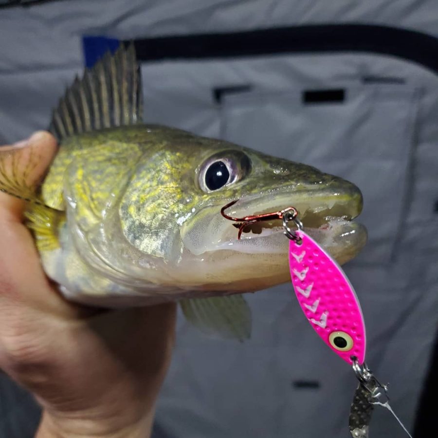 pk lures ice fishing spoon