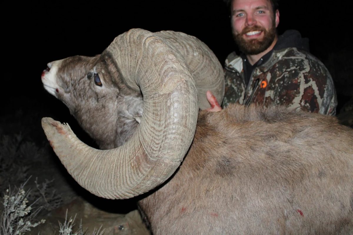 state record bighorn sheep 2025 North Dakota