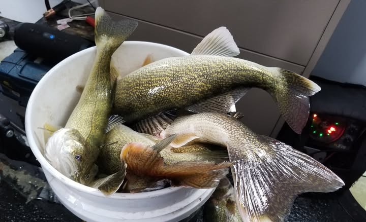 5-gallon ice fishing bucket