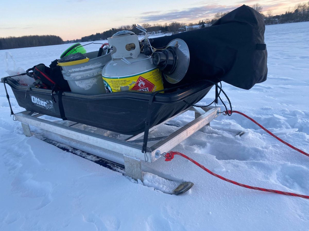 smitty sled design idea