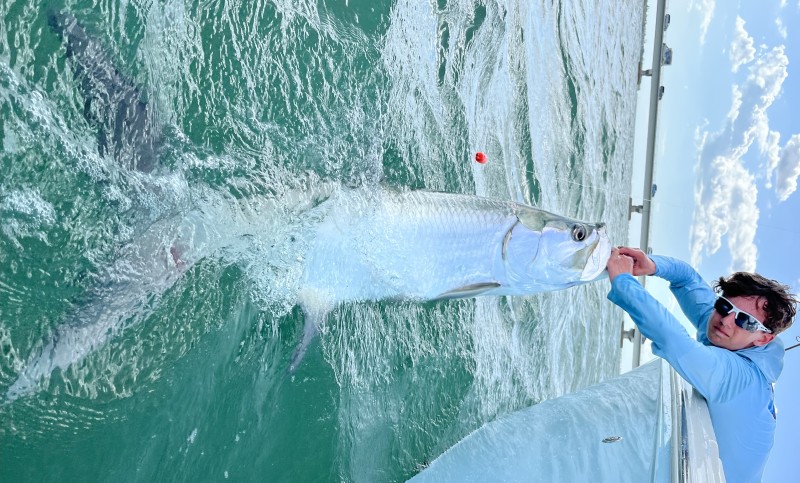 tarpon fishing in Florida