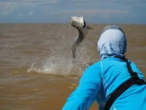 best tarpon fishing lodge in Costa Rica