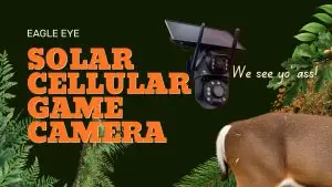 Solar and Cellular Game Camera System